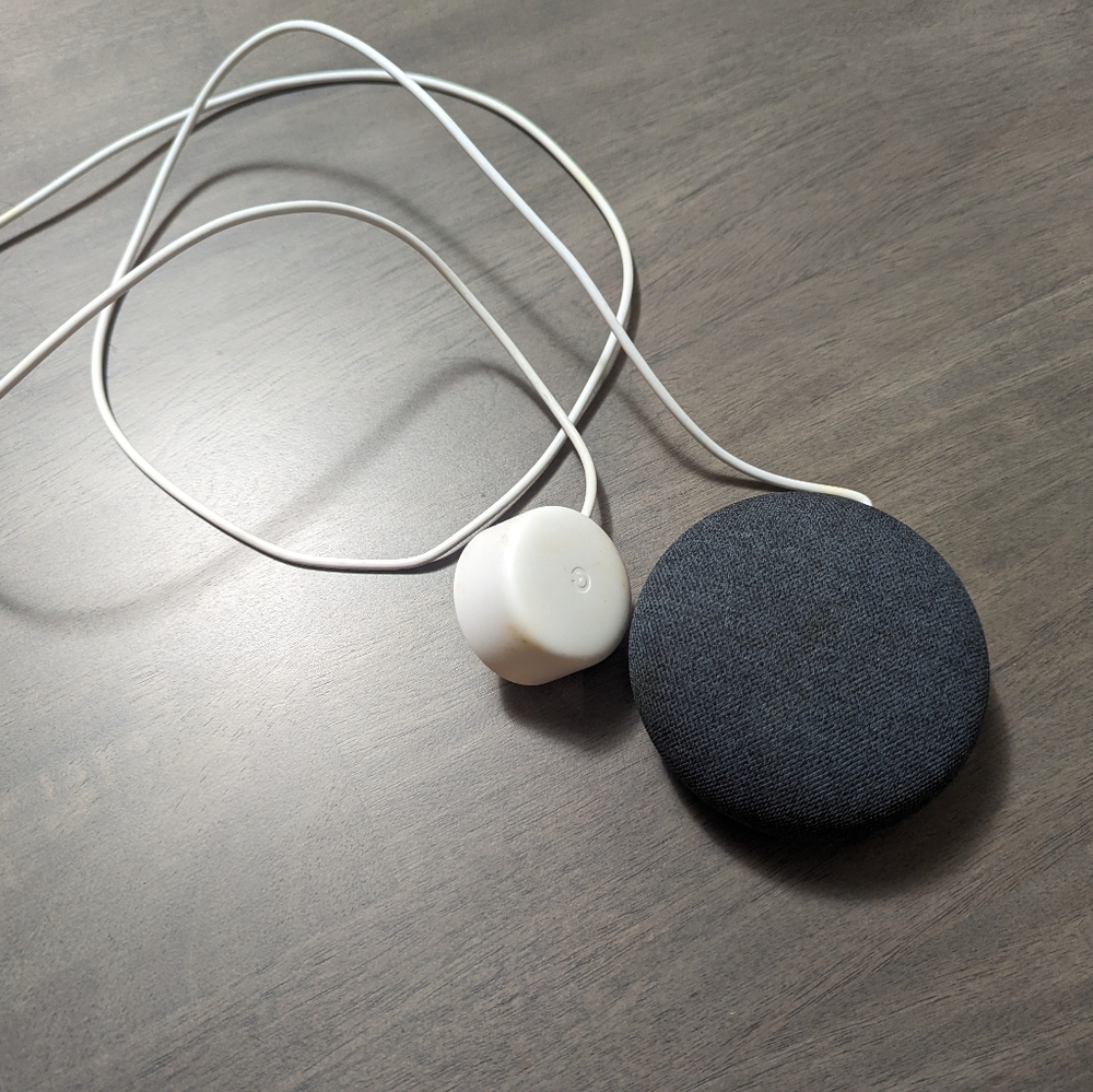 Google Home Nest